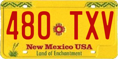 NM license plate 480TXV