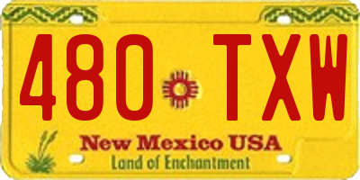 NM license plate 480TXW