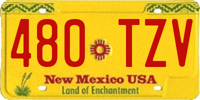 NM license plate 480TZV