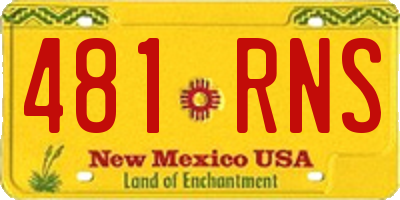 NM license plate 481RNS