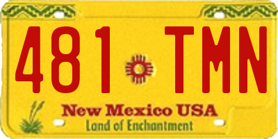 NM license plate 481TMN