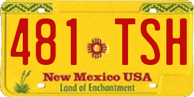 NM license plate 481TSH