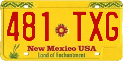 NM license plate 481TXG