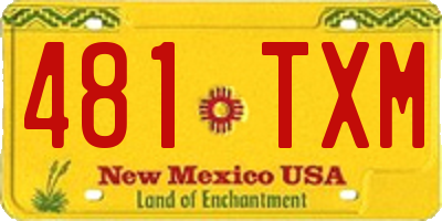 NM license plate 481TXM