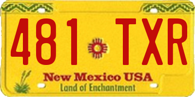 NM license plate 481TXR