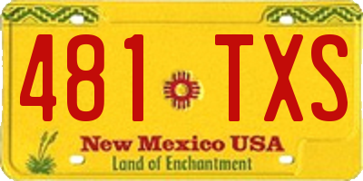 NM license plate 481TXS