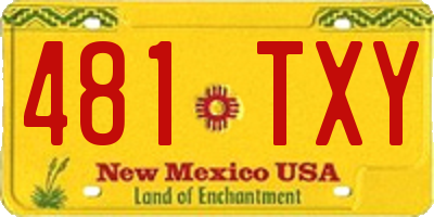 NM license plate 481TXY
