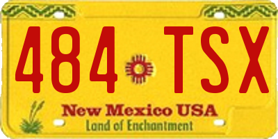 NM license plate 484TSX