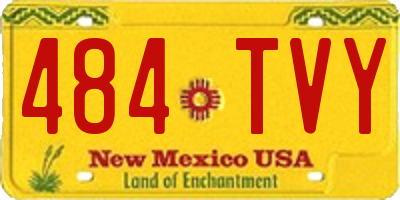 NM license plate 484TVY