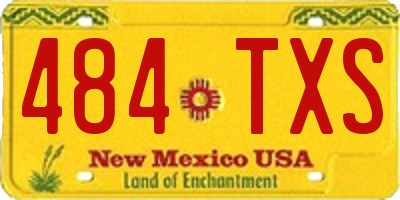 NM license plate 484TXS