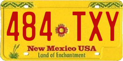 NM license plate 484TXY