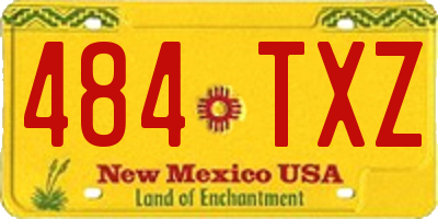 NM license plate 484TXZ