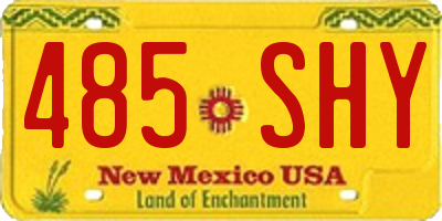 NM license plate 485SHY