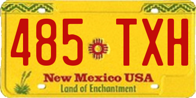 NM license plate 485TXH