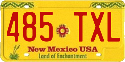 NM license plate 485TXL