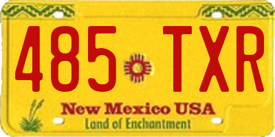 NM license plate 485TXR