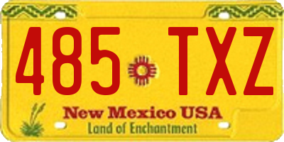 NM license plate 485TXZ
