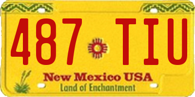 NM license plate 487TIU