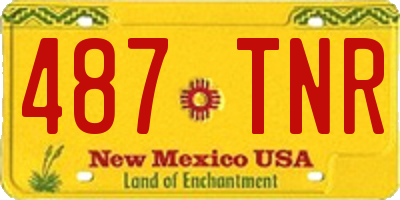 NM license plate 487TNR