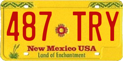 NM license plate 487TRY