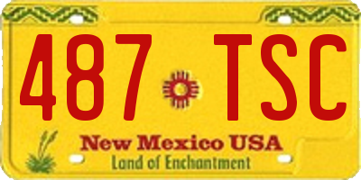 NM license plate 487TSC