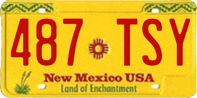 NM license plate 487TSY