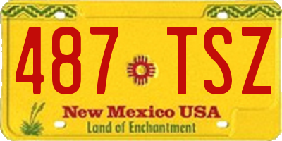 NM license plate 487TSZ