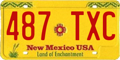 NM license plate 487TXC