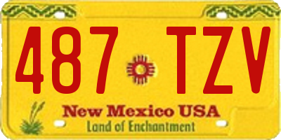 NM license plate 487TZV