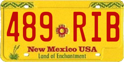 NM license plate 489RIB