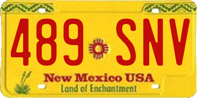 NM license plate 489SNV