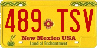 NM license plate 489TSV