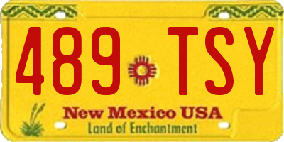 NM license plate 489TSY