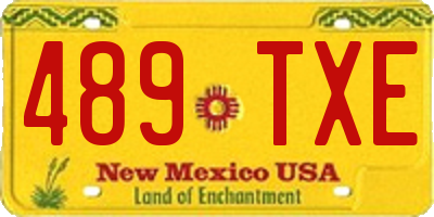 NM license plate 489TXE