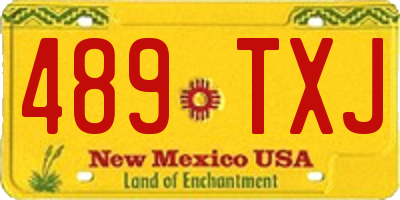 NM license plate 489TXJ