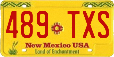 NM license plate 489TXS