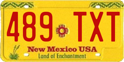 NM license plate 489TXT