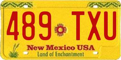 NM license plate 489TXU