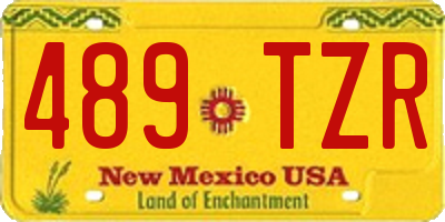 NM license plate 489TZR