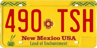NM license plate 490TSH
