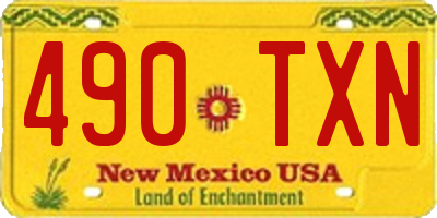 NM license plate 490TXN