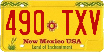 NM license plate 490TXV
