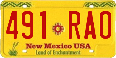 NM license plate 491RAO
