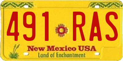 NM license plate 491RAS