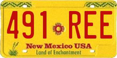 NM license plate 491REE