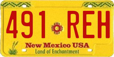 NM license plate 491REH