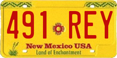 NM license plate 491REY