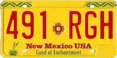 NM license plate 491RGH