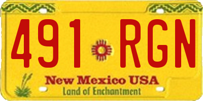 NM license plate 491RGN