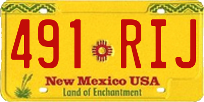 NM license plate 491RIJ